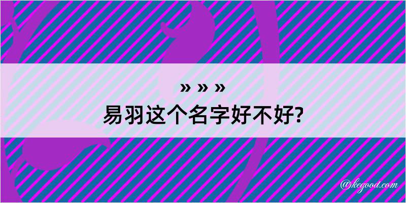 易羽这个名字好不好?