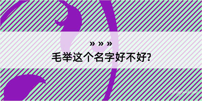 毛举这个名字好不好?