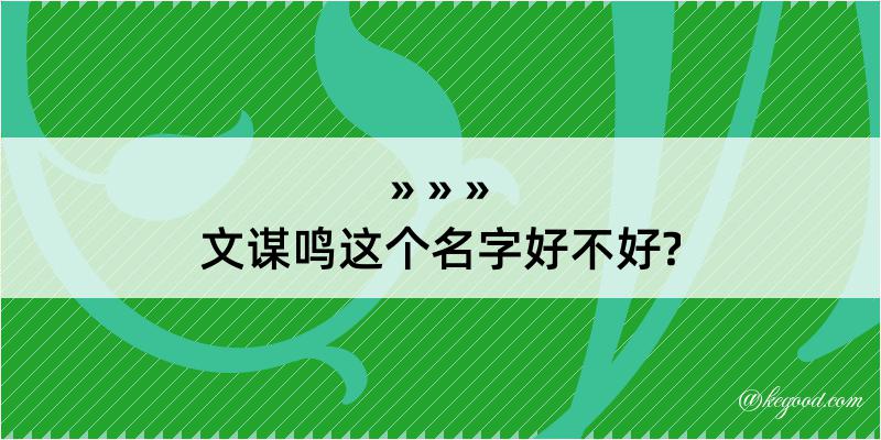 文谋鸣这个名字好不好?