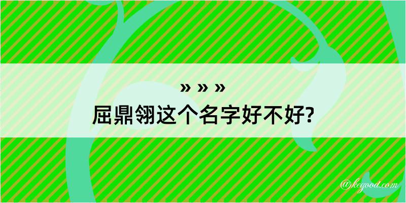 屈鼎翎这个名字好不好?