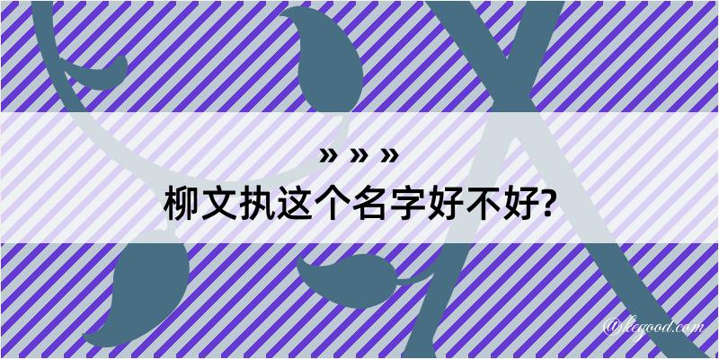 柳文执这个名字好不好?