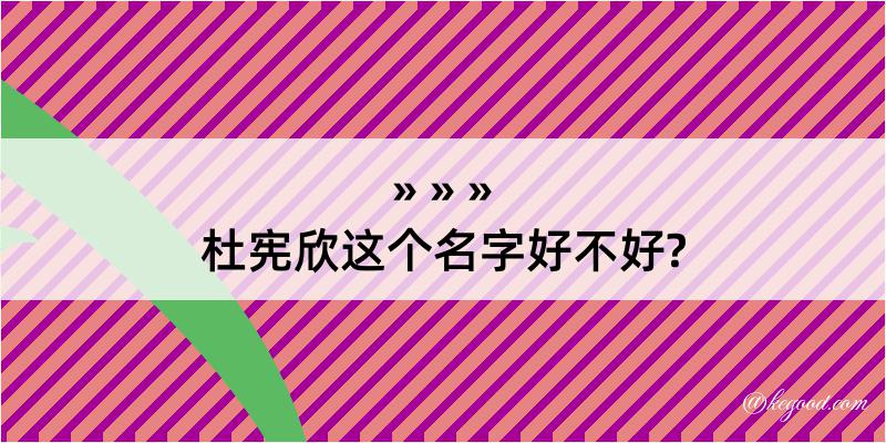 杜宪欣这个名字好不好?