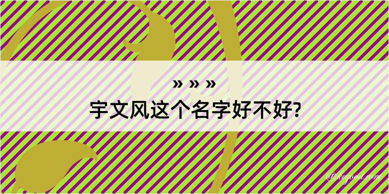 宇文风这个名字好不好?