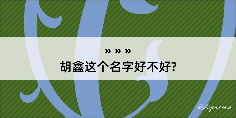 胡鑫这个名字好不好?