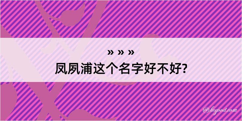 凤夙浦这个名字好不好?