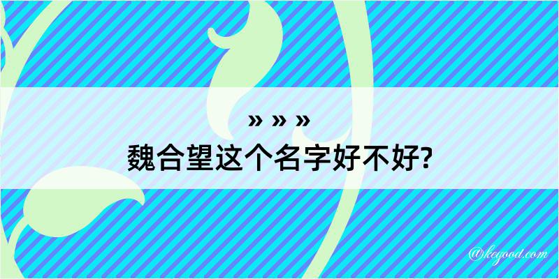 魏合望这个名字好不好?