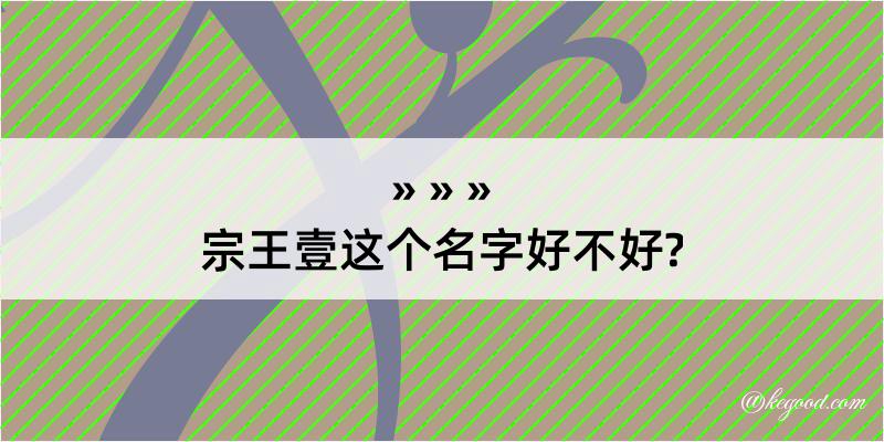 宗王壹这个名字好不好?