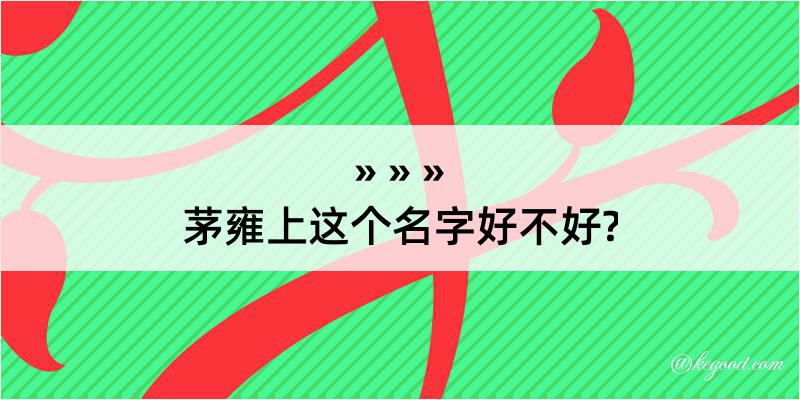 茅雍上这个名字好不好?