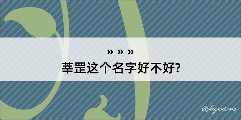 莘罡这个名字好不好?