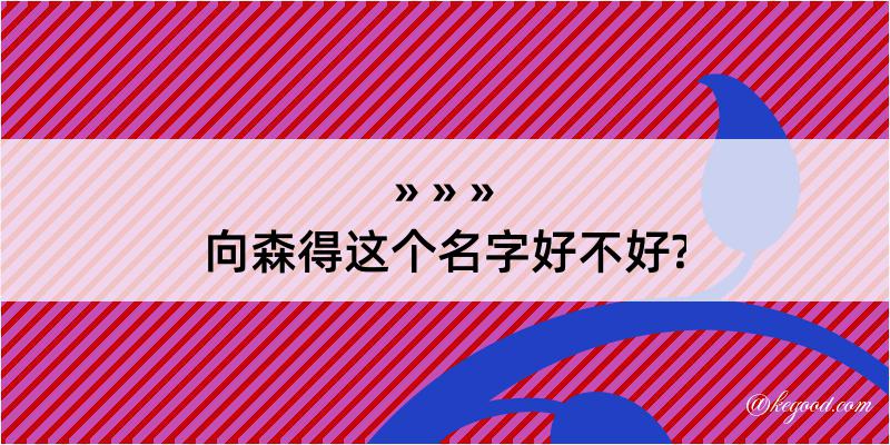 向森得这个名字好不好?