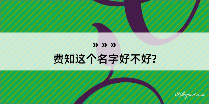 费知这个名字好不好?