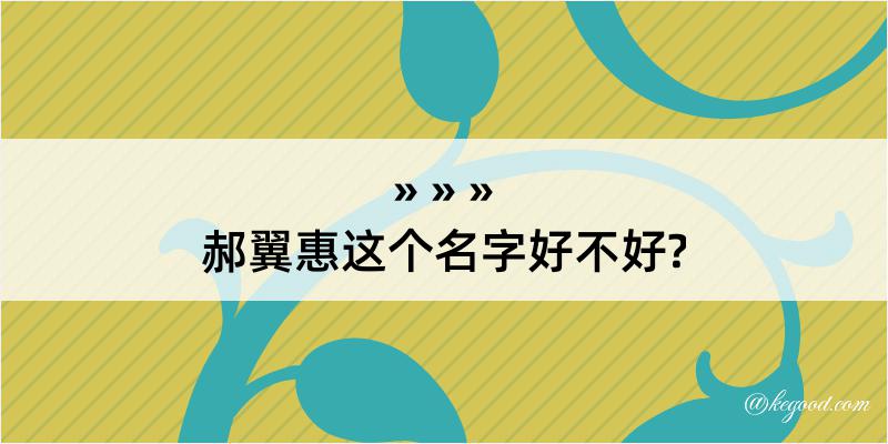 郝翼惠这个名字好不好?