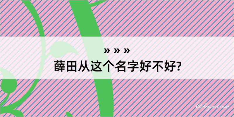 薛田从这个名字好不好?