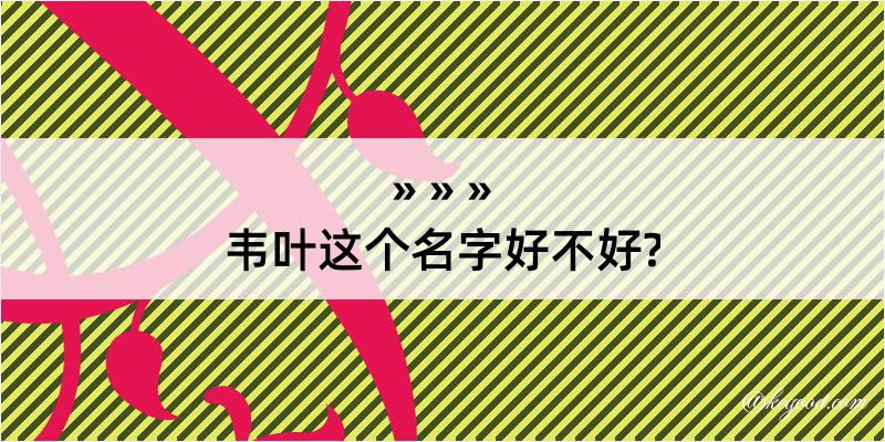 韦叶这个名字好不好?