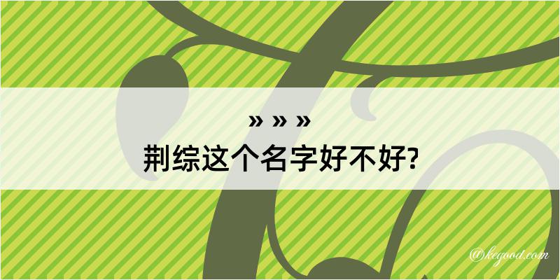 荆综这个名字好不好?