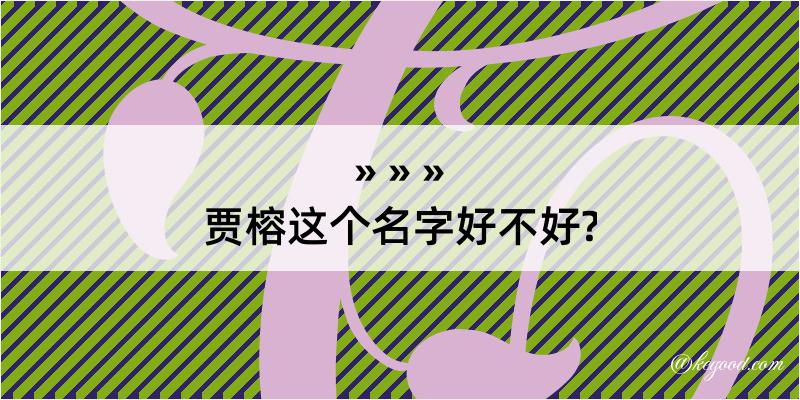 贾榕这个名字好不好?