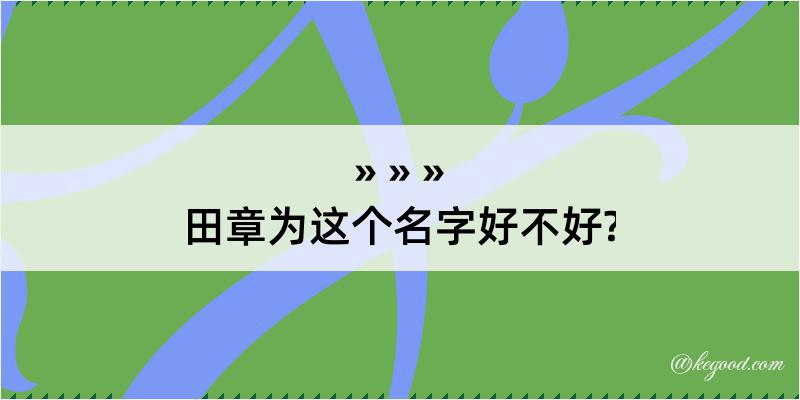 田章为这个名字好不好?