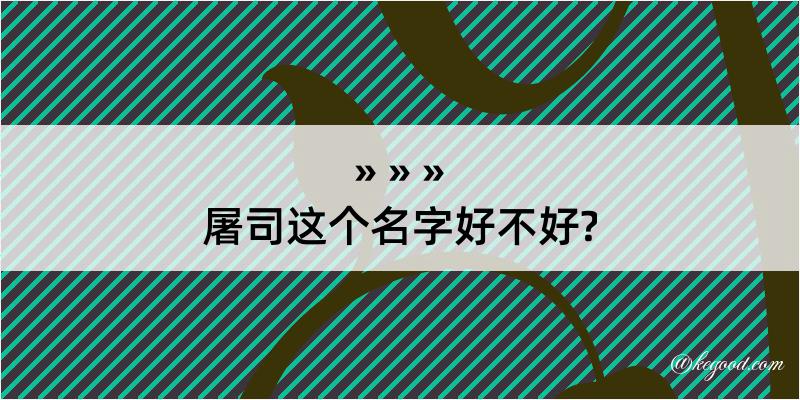 屠司这个名字好不好?