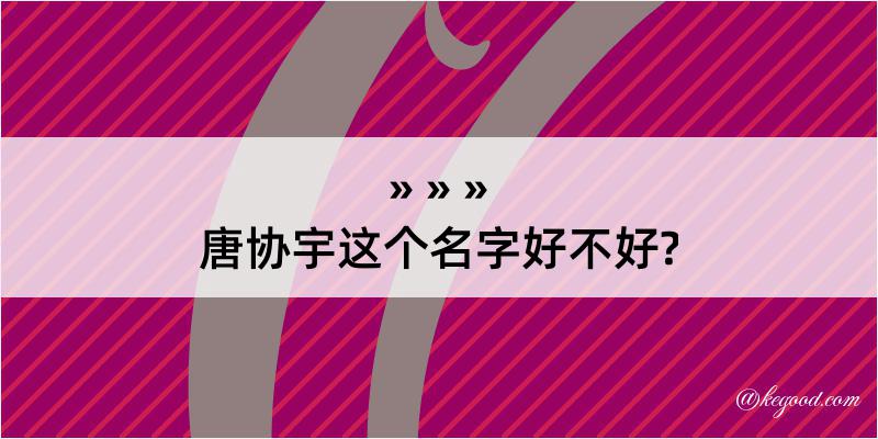 唐协宇这个名字好不好?