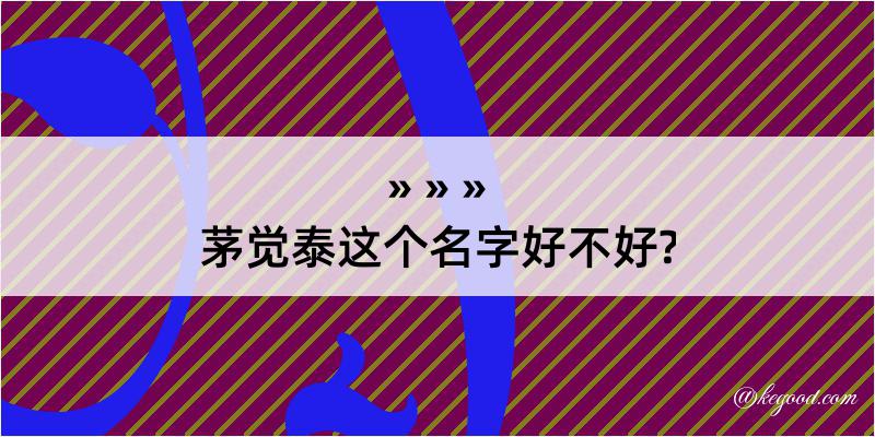 茅觉泰这个名字好不好?