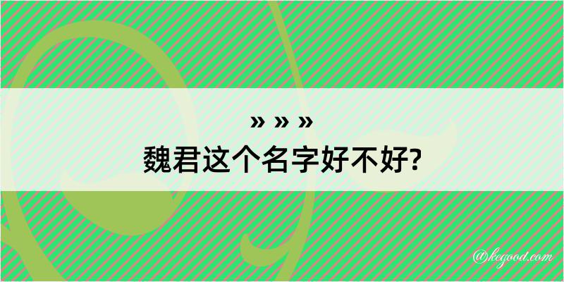 魏君这个名字好不好?