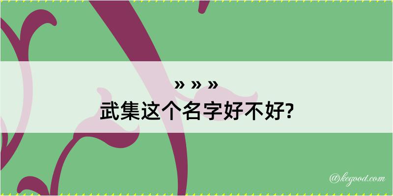 武集这个名字好不好?