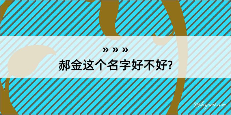 郝金这个名字好不好?