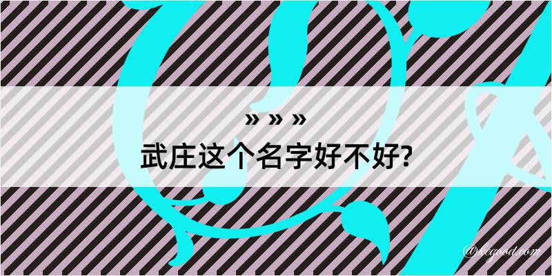 武庄这个名字好不好?