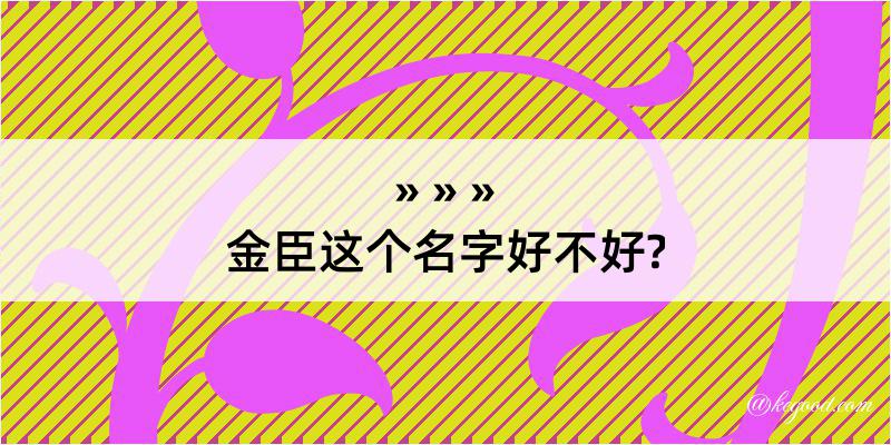 金臣这个名字好不好?