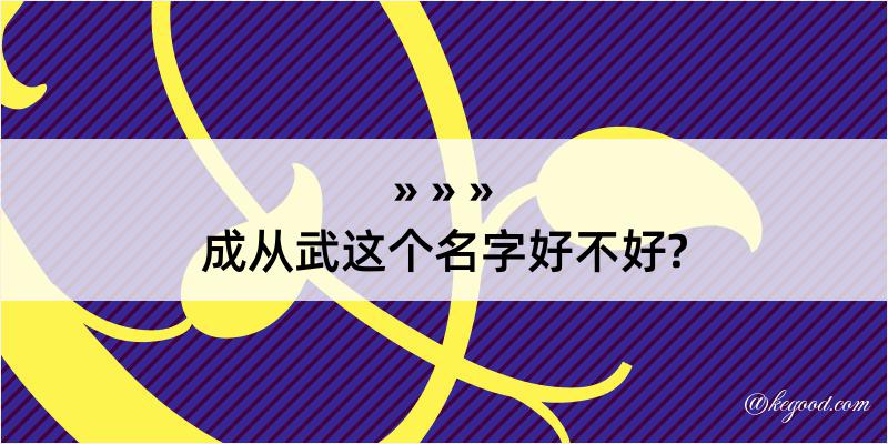 成从武这个名字好不好?