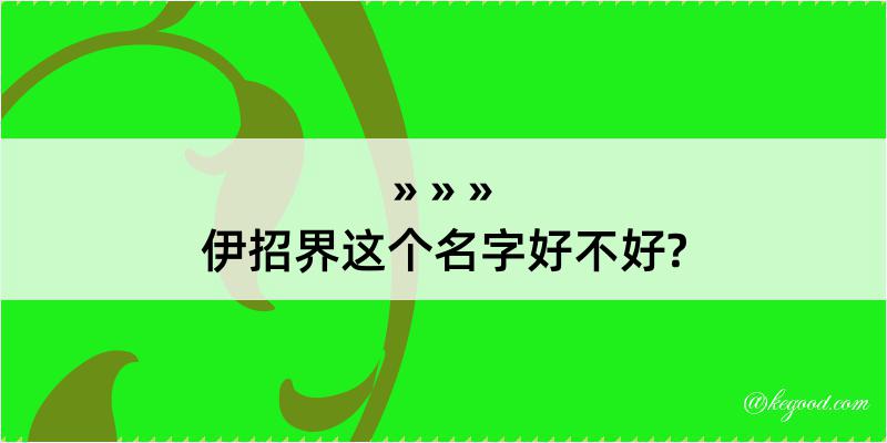 伊招界这个名字好不好?