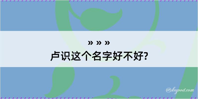 卢识这个名字好不好?