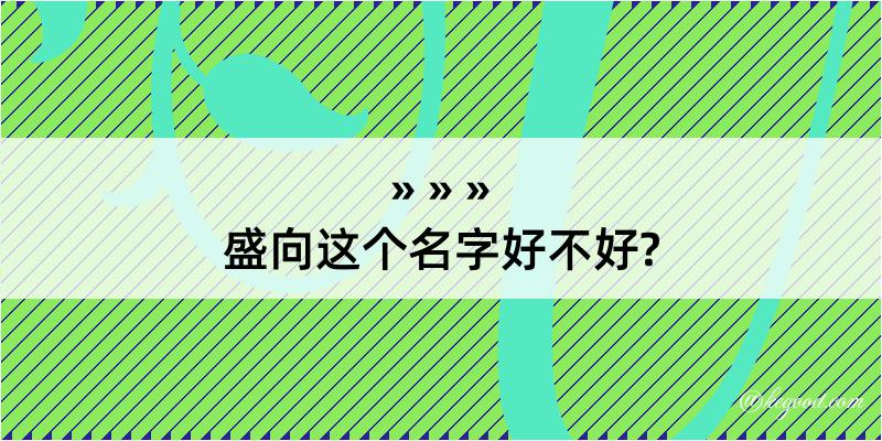 盛向这个名字好不好?