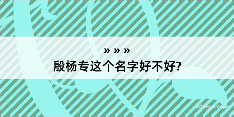 殷杨专这个名字好不好?