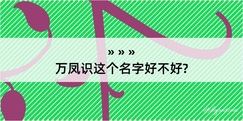 万凤识这个名字好不好?