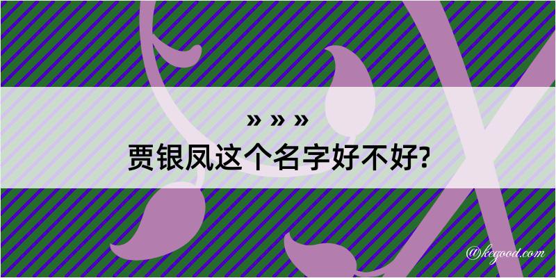 贾银凤这个名字好不好?