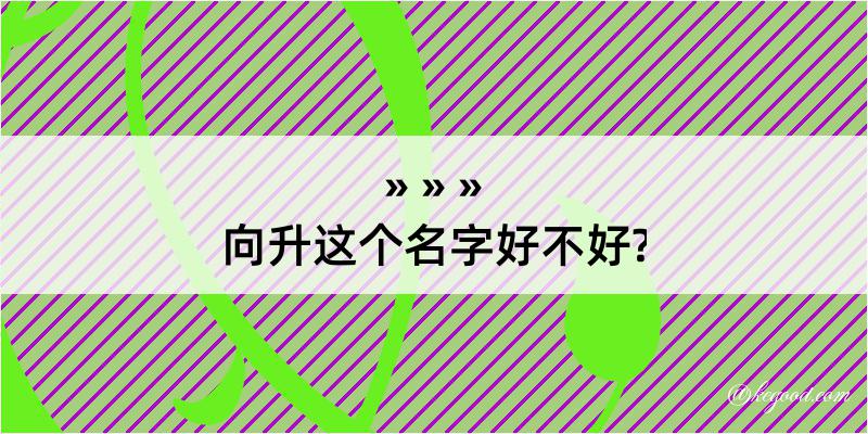 向升这个名字好不好?