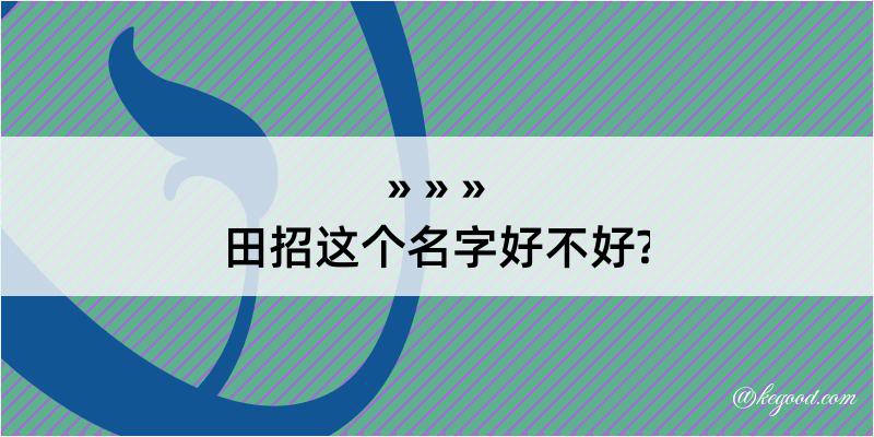 田招这个名字好不好?