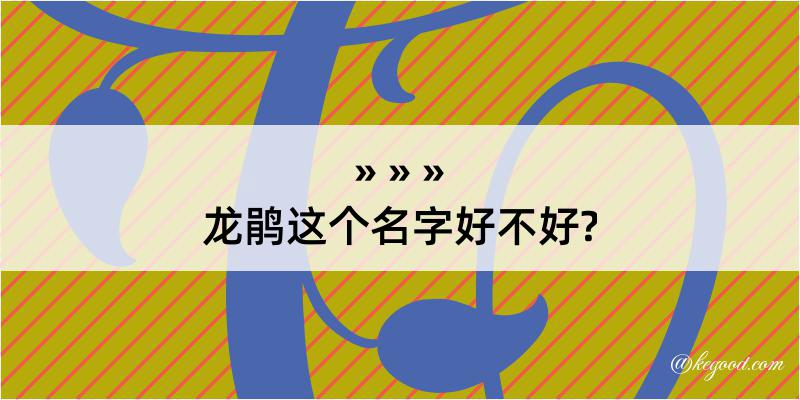 龙鹃这个名字好不好?