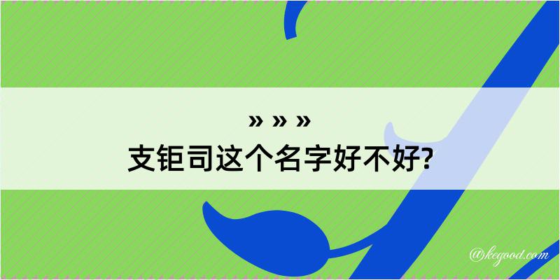 支钜司这个名字好不好?