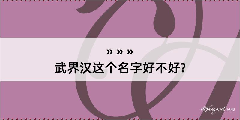 武界汉这个名字好不好?