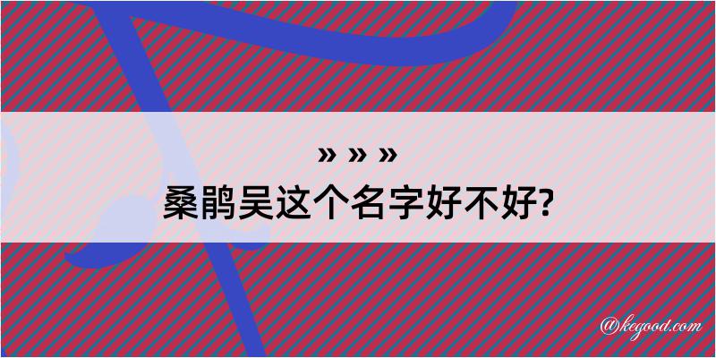 桑鹃吴这个名字好不好?