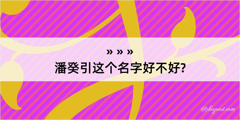 潘癸引这个名字好不好?