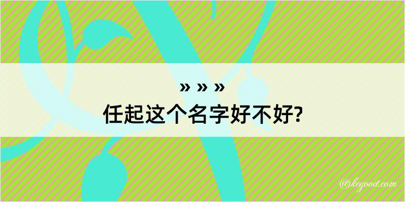 任起这个名字好不好?