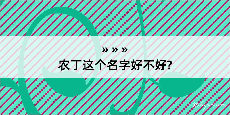 农丁这个名字好不好?