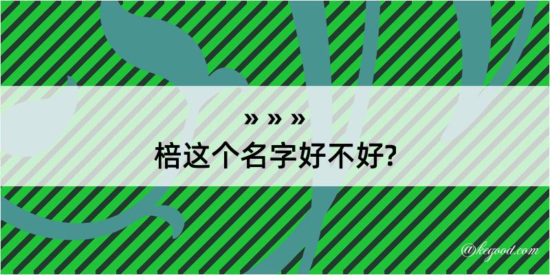 棓这个名字好不好?