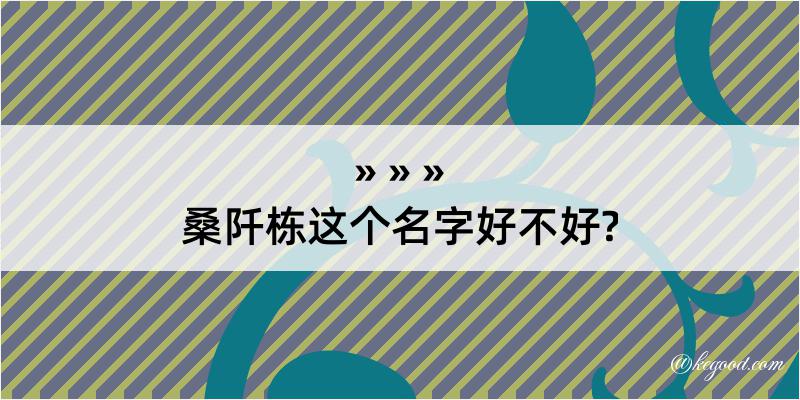 桑阡栋这个名字好不好?