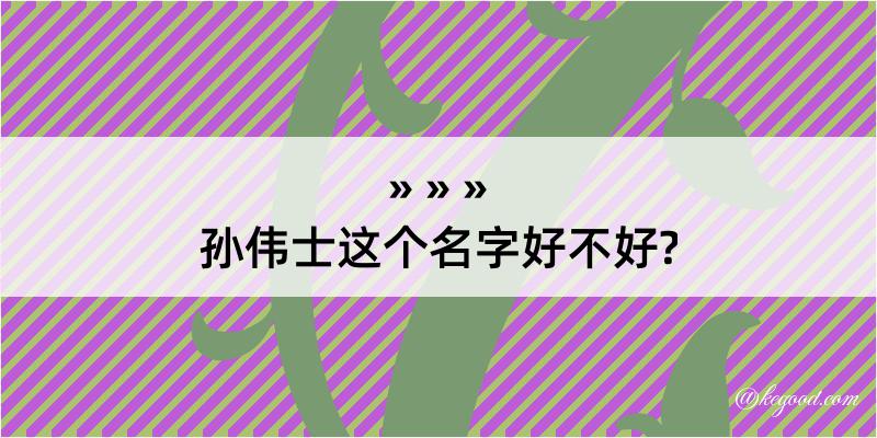 孙伟士这个名字好不好?