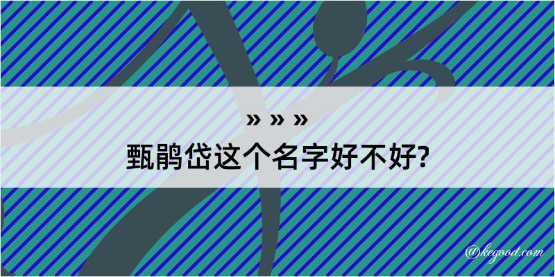 甄鹃岱这个名字好不好?