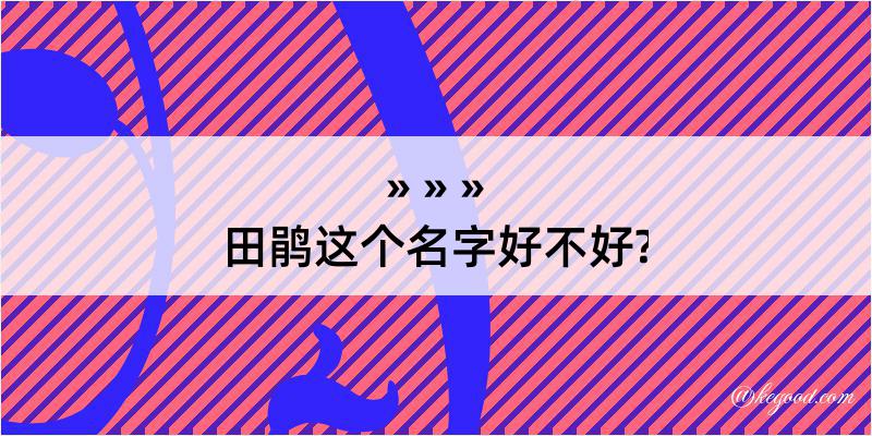 田鹃这个名字好不好?